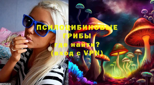 mdpv Зеленодольск