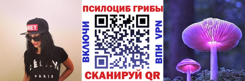 Галлюциногенные грибы Psilocybe Зарайск