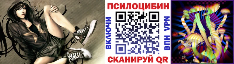 Купить где  Зарайск  Галлюциногенные грибы Psilocybe 